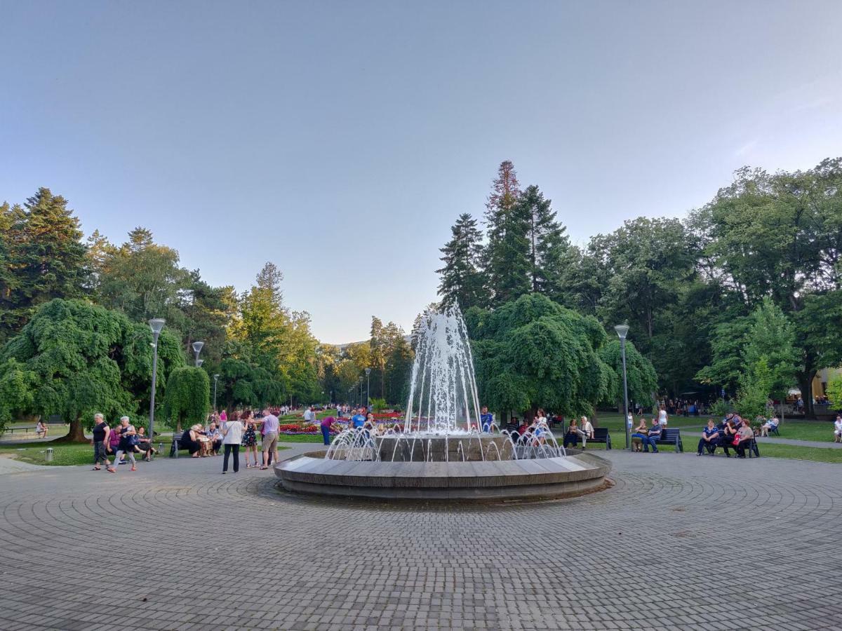 Hotel Fontana Vrnjacka Banja Luaran gambar